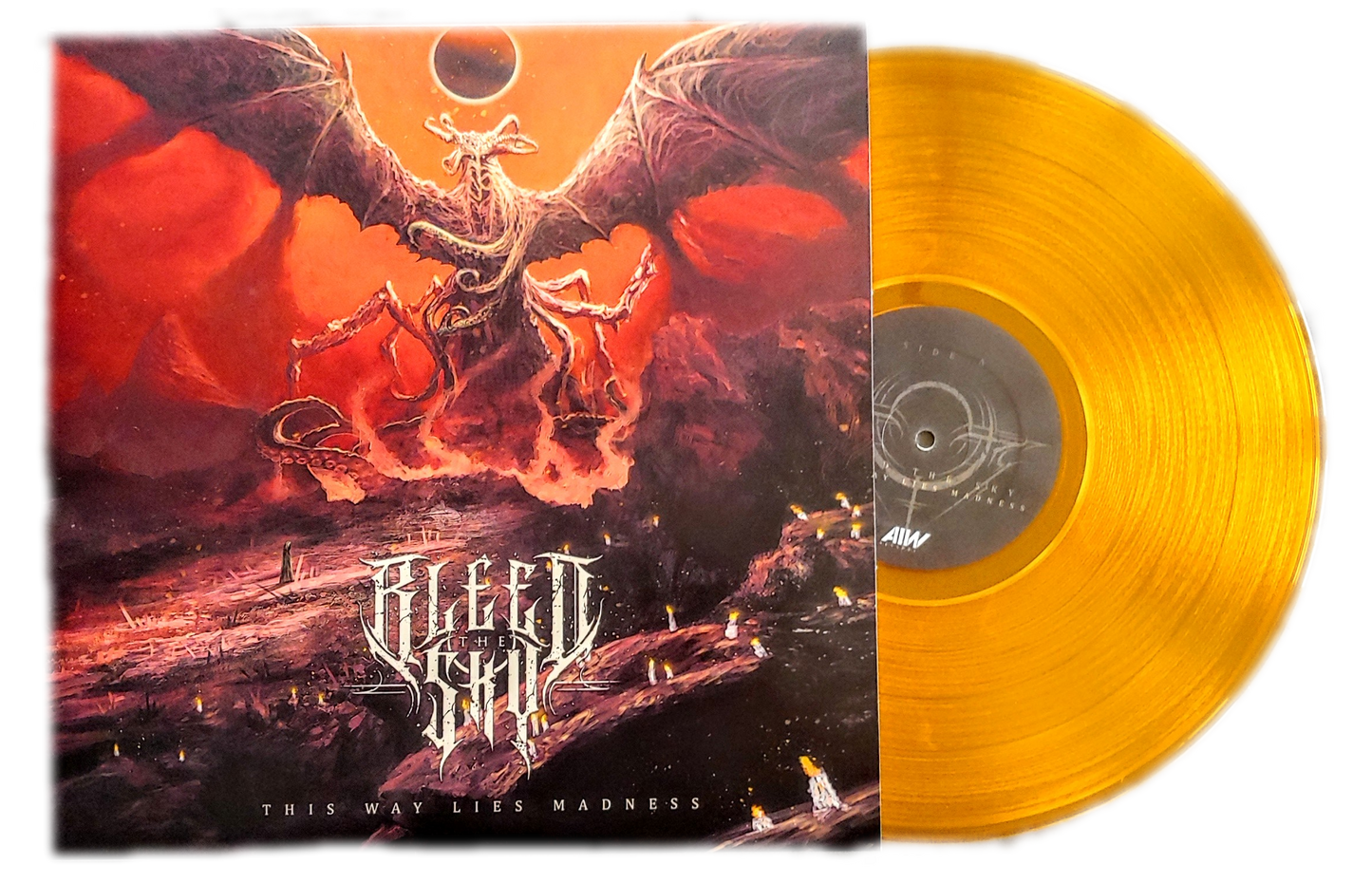 Signed Copy of Bleed The Sky - This Way Lies Madness On Vinyl